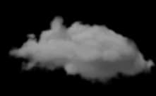 United States of America's Eagle